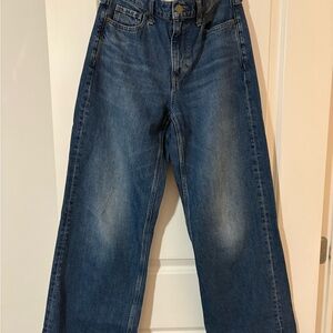 Banana Republic Wide-Leg Blue Jeans